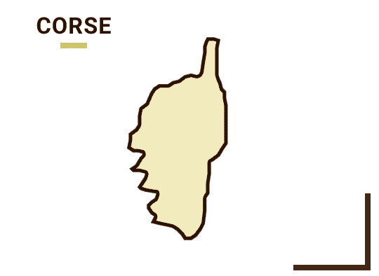 Contest Region
